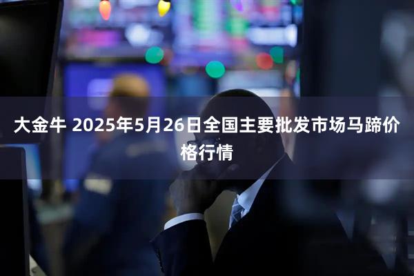 大金牛 2025年5月26日全国主要批发市场马蹄价格行情