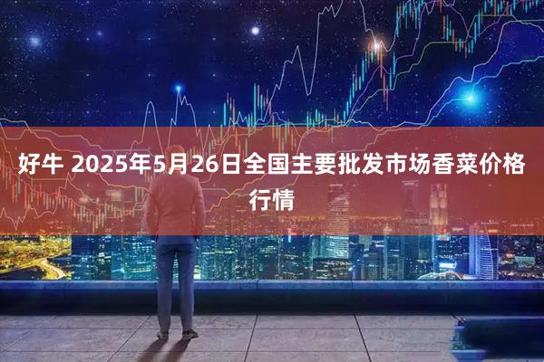 好牛 2025年5月26日全国主要批发市场香菜价格行情