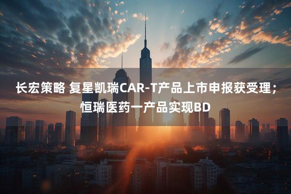 长宏策略 复星凯瑞CAR-T产品上市申报获受理；恒瑞医药一产品实现BD