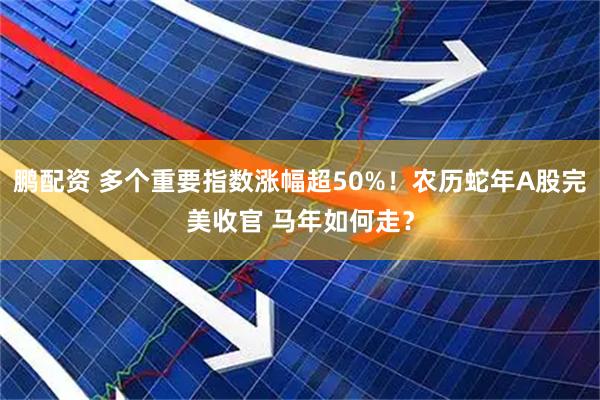 鹏配资 多个重要指数涨幅超50%！农历蛇年A股完美收官 马年如何走？