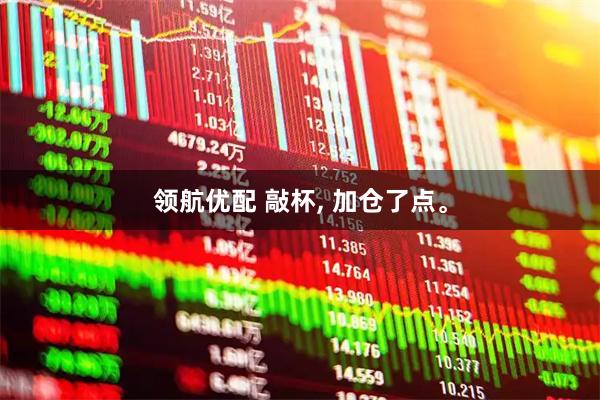 领航优配 敲杯, 加仓了点。